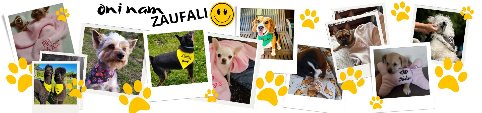 sweetpupile oni nam zaufali zdjęcia naszych klientów